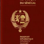 Modification du décret sur le passeport diplomatique : une mesure pour adapter les règles aux réalités actuelles
