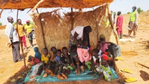 Abris communautaires au Niger : protéger les enfants et permettre aux femmes de restaurer les terres
